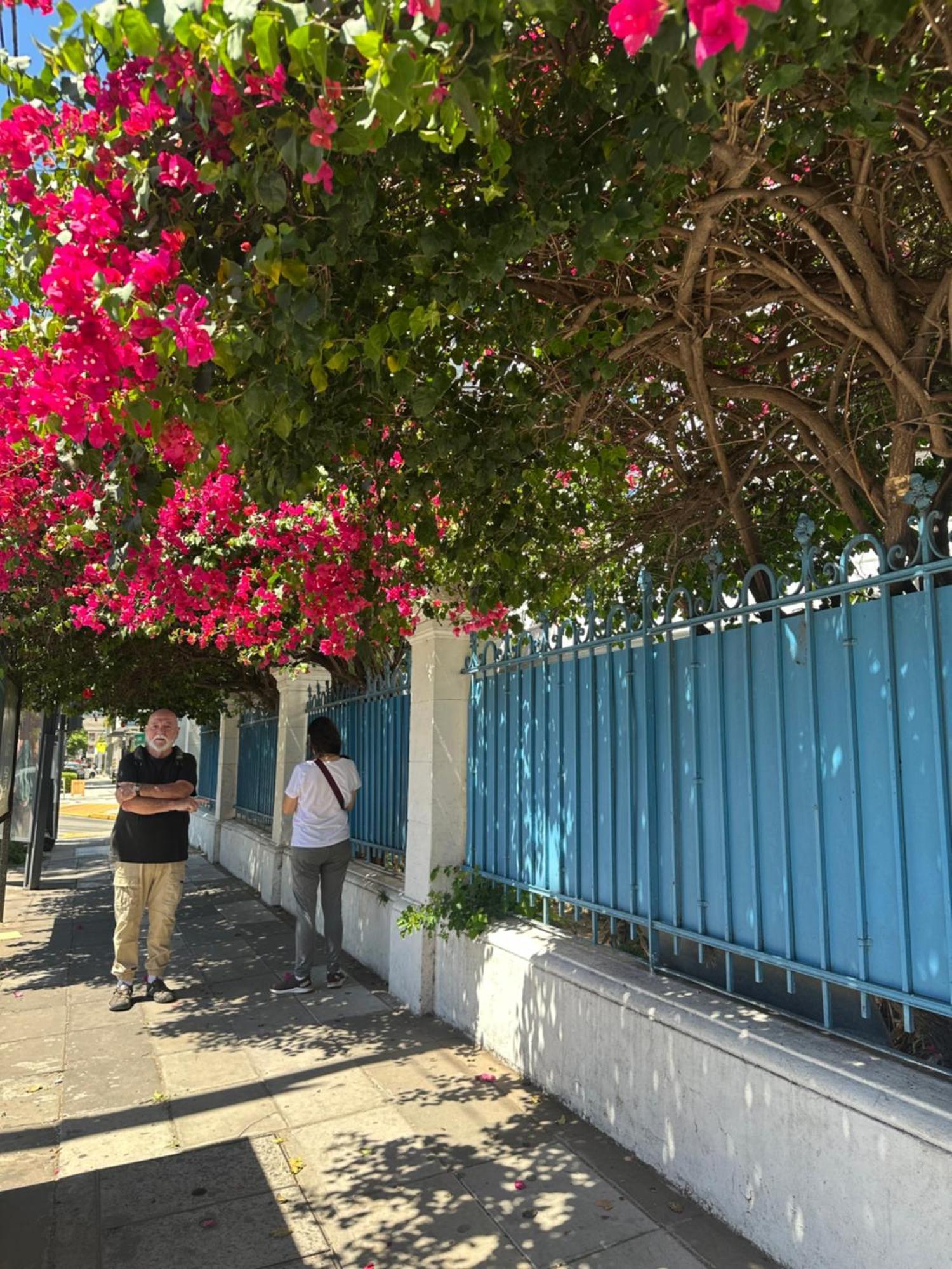 维森特洛佩斯酒店 Vicente López 外观 照片